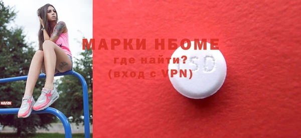 прущие грибы Няндома