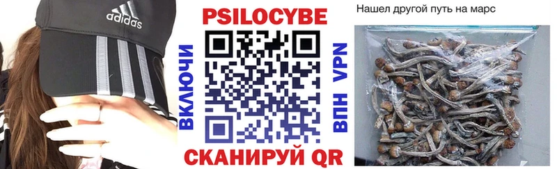 Галлюциногенные грибы мицелий  ссылка на мегу tor  Домодедово 