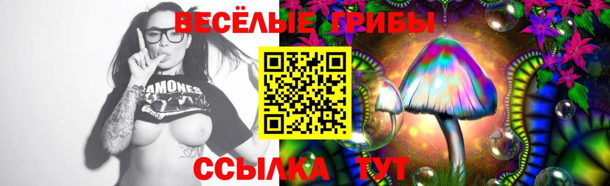 Домодедово  Галлюциногенные грибы Psilocybine cubensis  Вход с VPN 